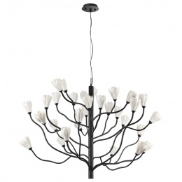 Люстра Odeon Light Gardi 5090/30